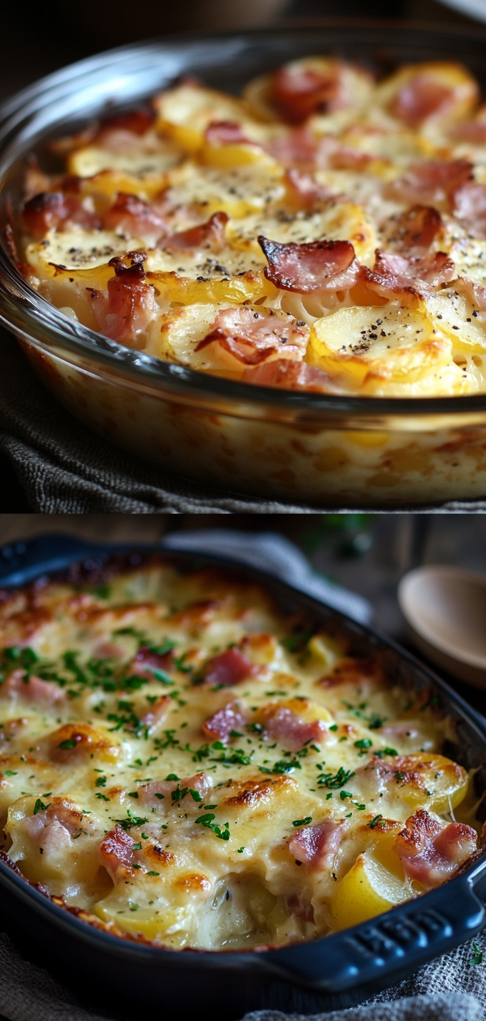 -Gratin-de-Pommes-de-Terre-Coquin-au-Jambon-et-à-la-Mozzarella-.weGratin-de-Pommes-de-Terre-Coquin-au-Jambon-et-à-la-Mozzarellabp